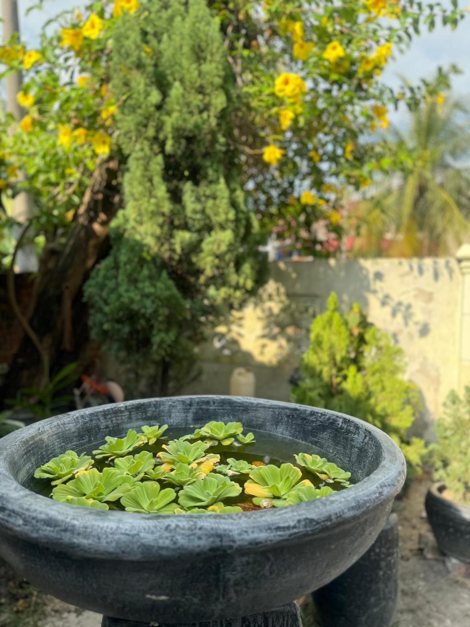 Lelangit Inn Port Dickson Ngoại thất bức ảnh